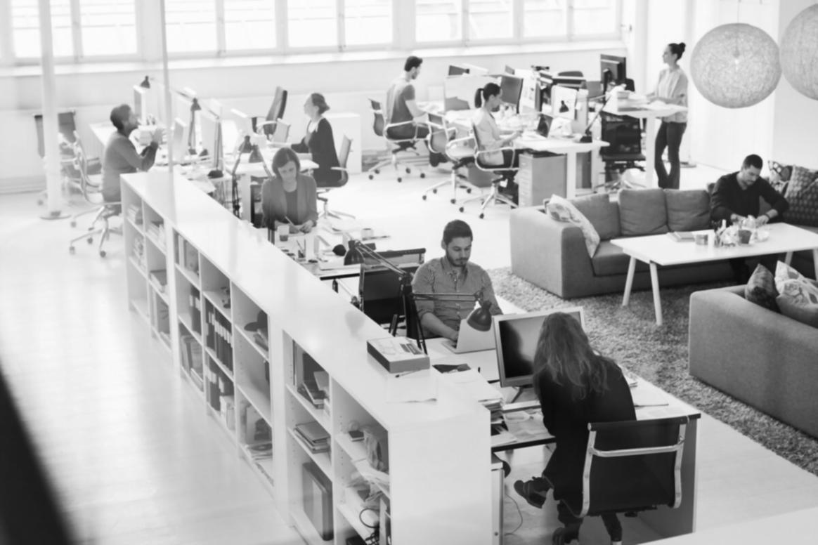 Estudiantes participando en seminarios de trading